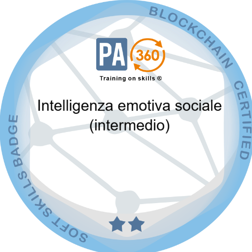 Badge pubblico 67006